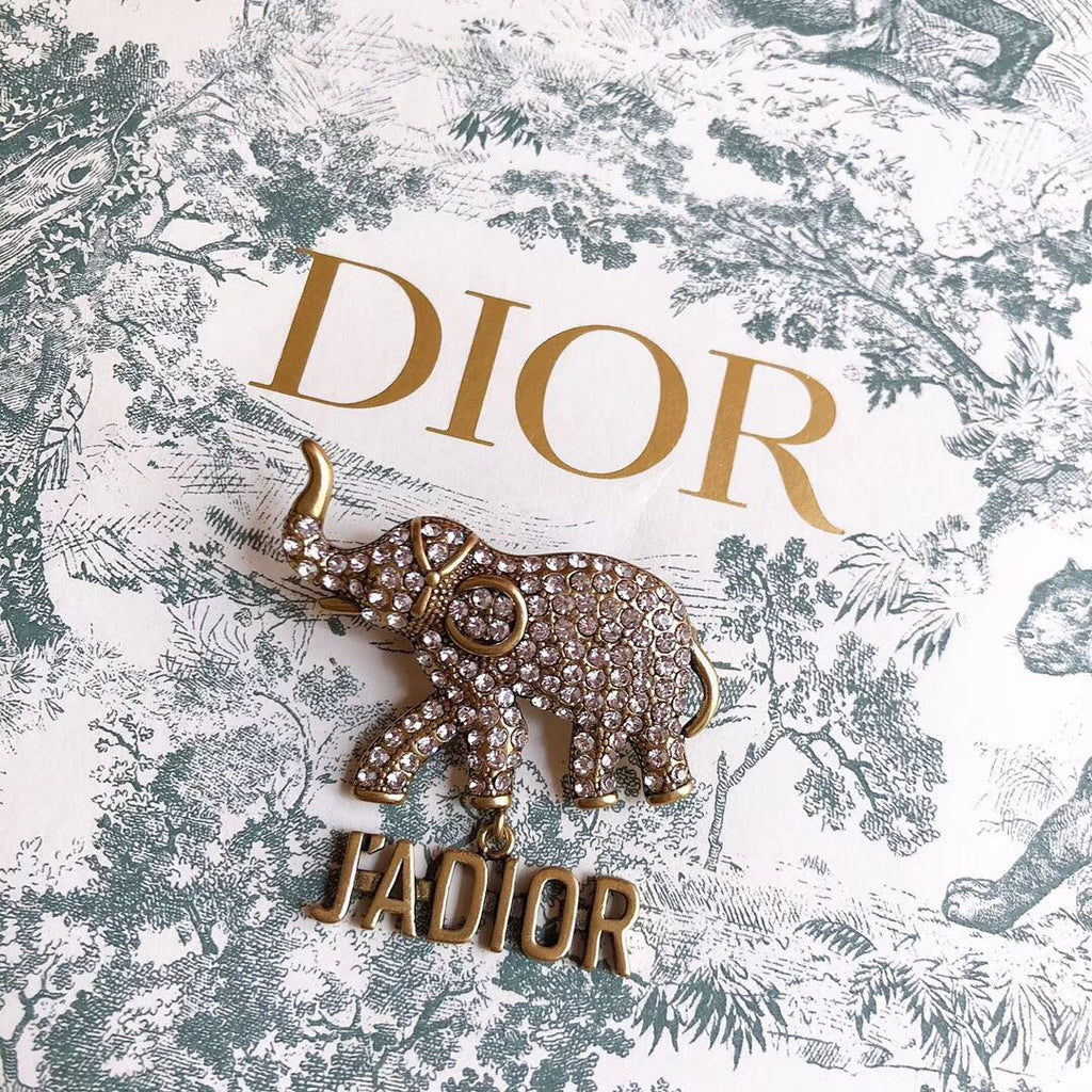 DIOR CD Brooch 03